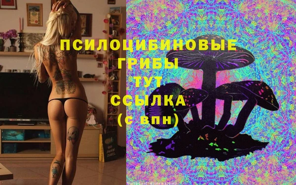 Альфа ПВП Армянск