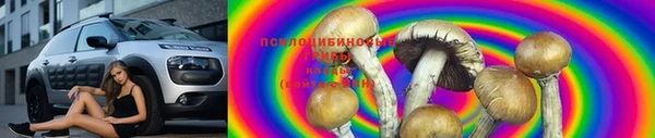 СК Аркадак